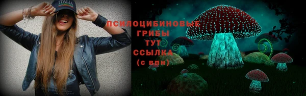 скорость Богородск