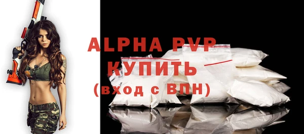 спиды Богородицк
