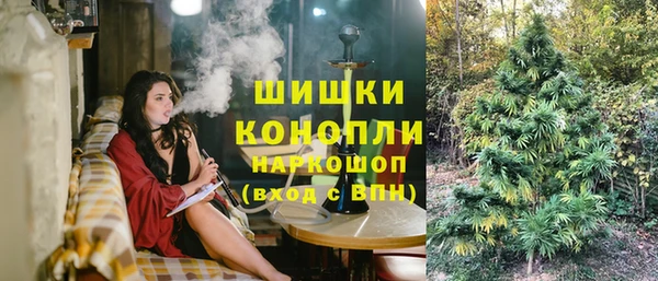 спиды Богородицк