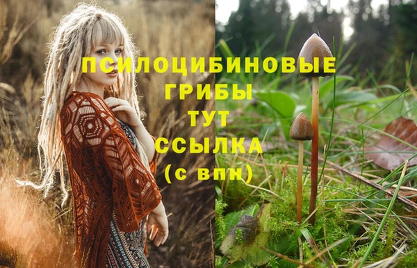мет Беломорск