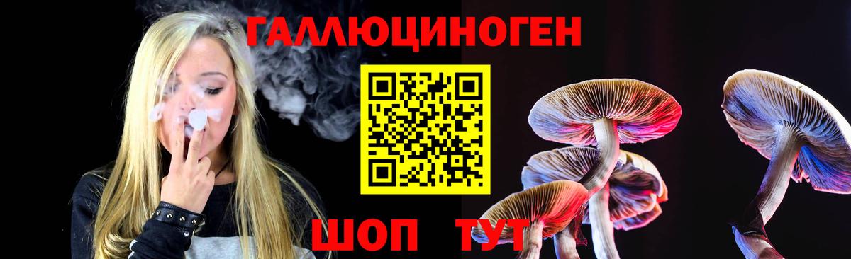 Галлюциногенные грибы MAGIC MUSHROOMS Гатчина