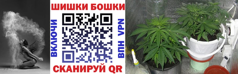 хочу наркоту  Гатчина  Конопля план 
